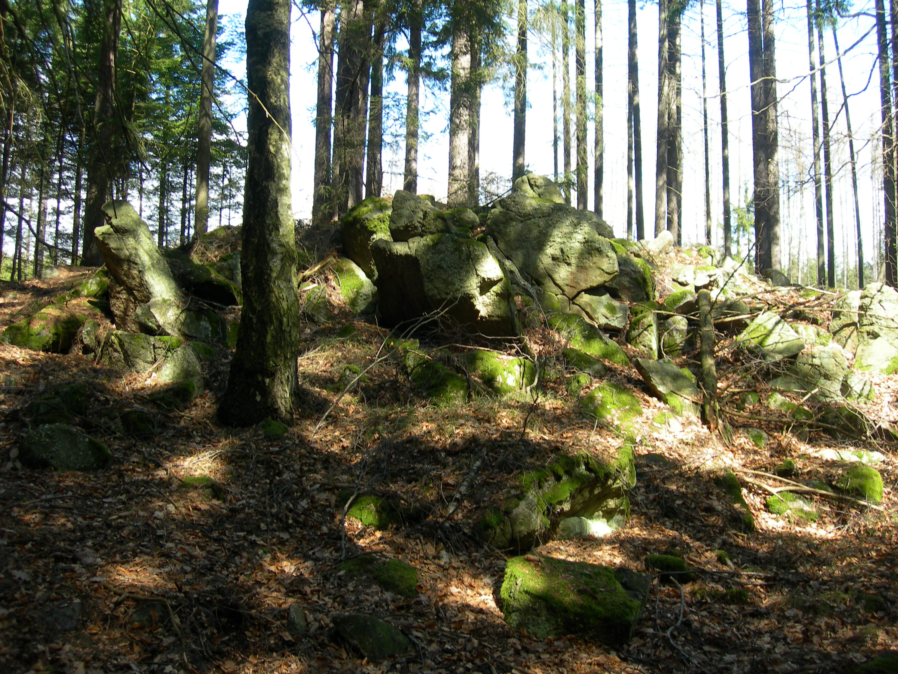 Terrain Halde